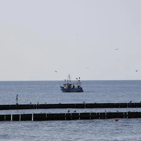 Laura - Nad Morzem روفي